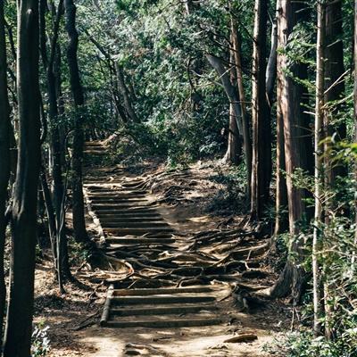 果冻小镇游戏下载
